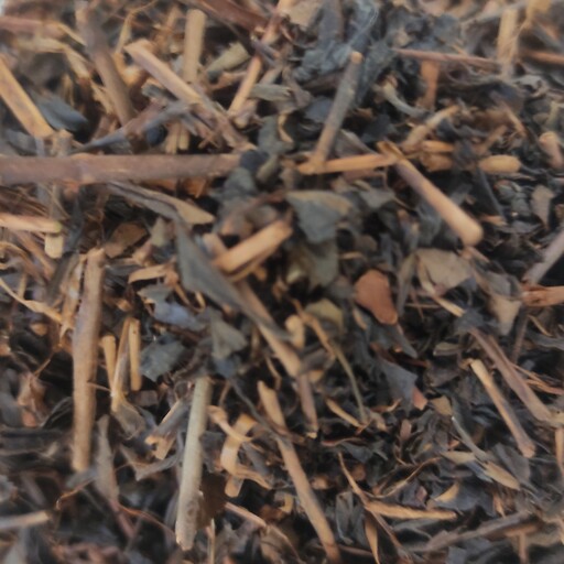 چوب چای ،محصول اورگانیک بدست آمده از چای سیاه ایرانی هزاران برابر از چای دبش خوشمزه  تر لذت چای ایرانی با چوب چای 