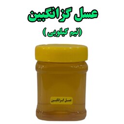 عسل گزانگبین  (نیم کیلویی) ساکارز زیر دو درصد 