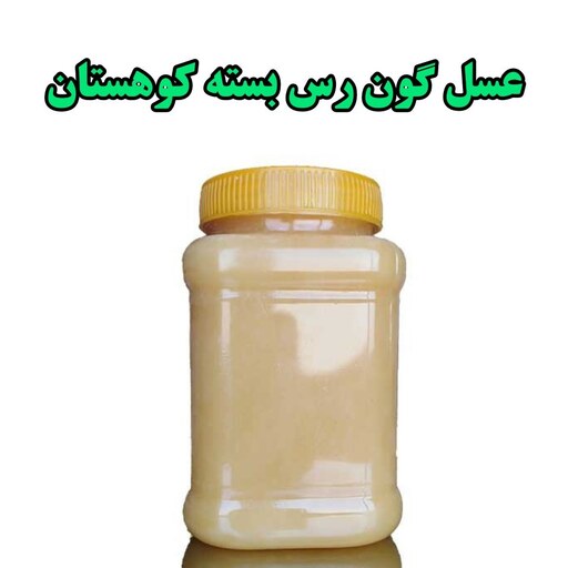 عسل گون رس بسته کوهستان (یک کیلویی )