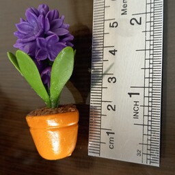 گل سنبل مینیاتوری