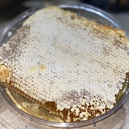 عسل طبیعی کنار موم دار 1.700کیلوگرم 