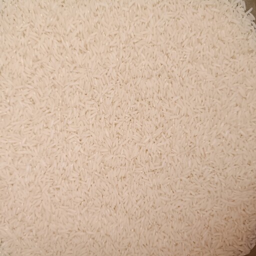 برنج دمسیاه اعلاء آستانه اشرفیه در بسته بندی 5 کیلویی