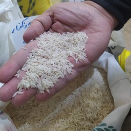 برنج طارم هاشمی فریدون کنار کیفیت عالی(10 کیلوگرمی)