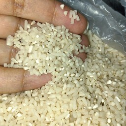 برنج هاشمی نیم دانه کیلیویی 45هزارتومن از شالیزارهای گیلان
