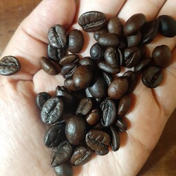 قهوه فول کافئین 100 درصد روبوستا در پک های 500 و 1000 گرمی