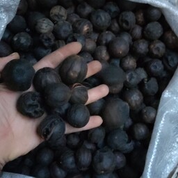 نیم کیلو  لیمو امانی (عمانی) سیاه درجه یک امسالی سایز درشت و متوسط درهم خوش طعم و عطر جهرم بدون تلخی