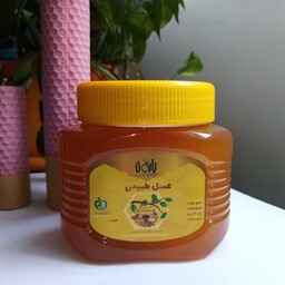 عسل گون گزنگبین رس بسته بارگان ، یک کیلو، طبیعی و خالص