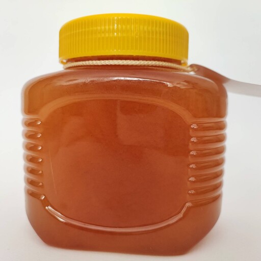 عسل گون گزنگبین رس بسته بارگان ، یک کیلو، طبیعی و خالص