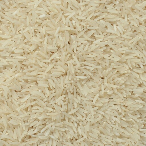 برنج هاشمی ممتاز 10 کیلویی زیباکنار