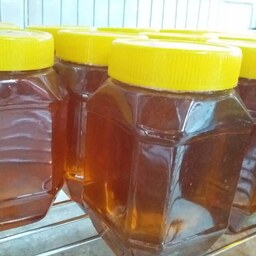عسل کنار از تولید به مصرف خرید مستقیم از زنبوردار فروش عسل صبحانه عسل کندو زنبور عسل حرارت ندیده وزن نیم کیلو (500 گرم)