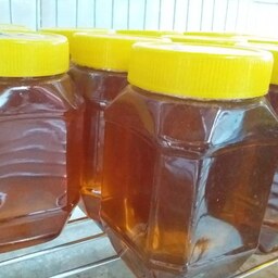 عسل کنار خرید مستقیم از زنبوردار از تولید به مصرف فروش عسل صبحانه عسل کندو زنبور عسل حرارت ندیده وزن یک کیلو (1000 گرم)