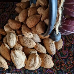 بادام تلخ سنگی امساله و مرغوب (500 گرمی) - درجه یک و پر مغز  محصول اصفهان- دارای خواص درمانی