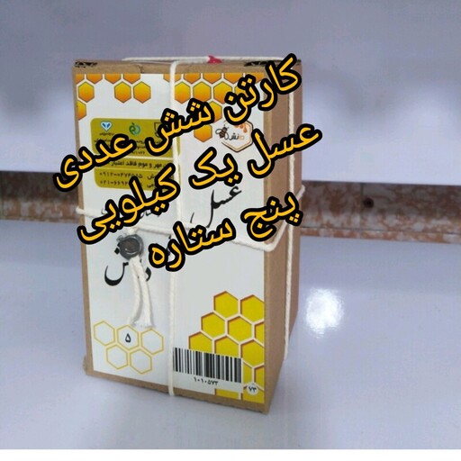 عسل زنده دانش پنج ستاره روازاده (یک کارتن حاوی شش عدد عسل یک کیلویی) 