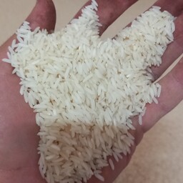 برنج طارم هاشمی معطر مازندران 10 کیلویی ارسال رایگان