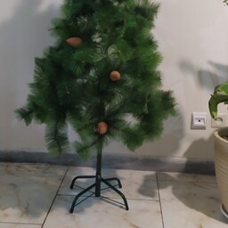 درخت کاج کریسمس سبز