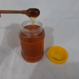 عسل تغذیه امساله 1 کیلو گرم 