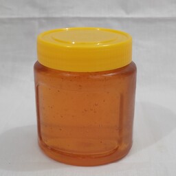 عسل تغذیه امساله 500 گرمی