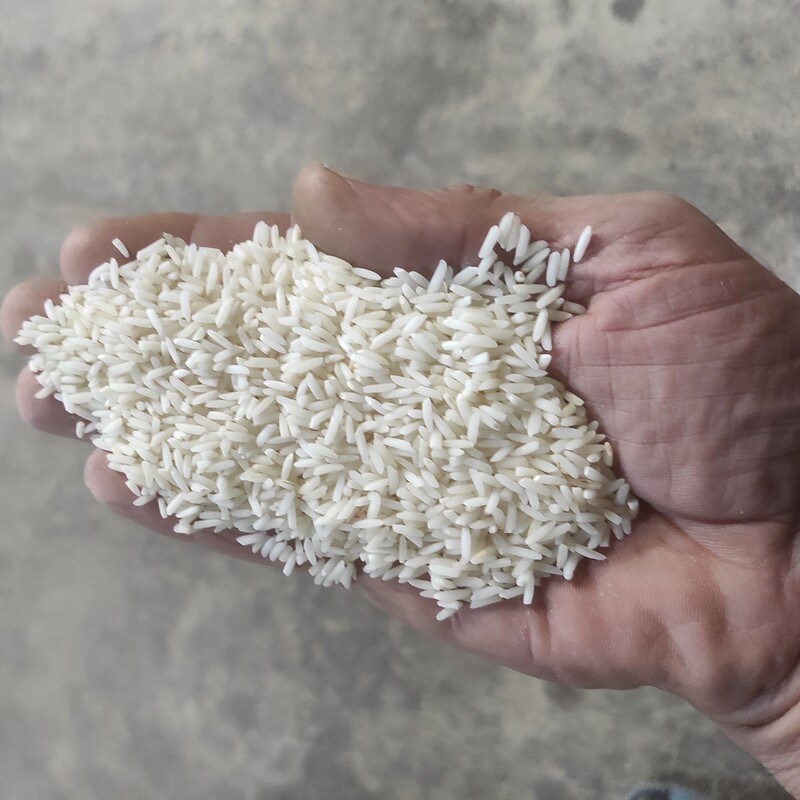 برنج هاشمی گیلان ،10کیلویی،ارسال بدون واسطه،مستقیم از شالیکوبی