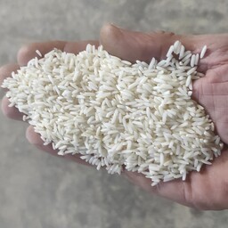 برنج هاشمی ،5کیلویی،تضمین کیفیت و پخت،ارسال بی واسطه از شالیکوبی 