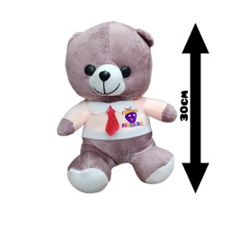 عروسک خرس سویشرت دار متوسط 30 سانتی