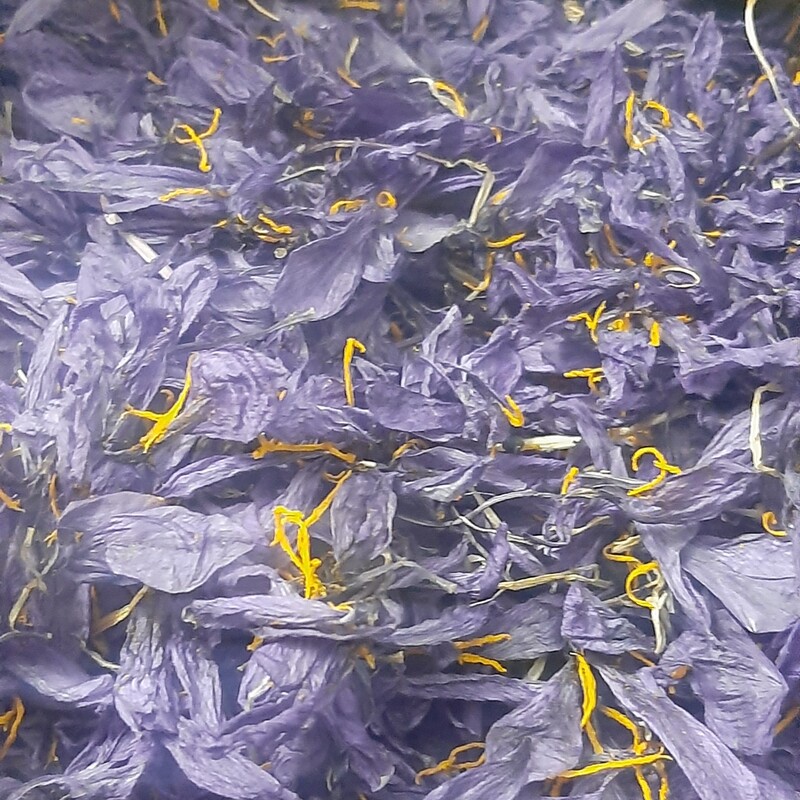 گلبرگ زعفران  یک کیلویی ، فروش عمده ، جهت استفاده دمنوش ، عرق گیری ، تولید رنگ طبیعی 