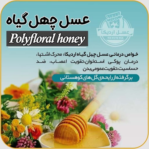 عسل چهل گیاه طبیعی سبلان 1 کیلویی (مستقیم از زنبوردار)ارسال رایگان