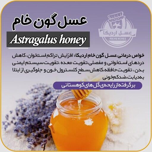 عسل طبیعی گون گز خام ارگانیک ساکارز 1درصد 1 کیلویی (مستقیم از زنبوردار)ارسال رایگان