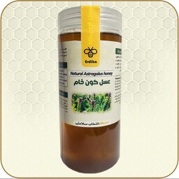 عسل طبیعی گون گز خام ارگانیک ساکارز 1درصد 1 کیلویی (مستقیم از زنبوردار)ارسال رایگان