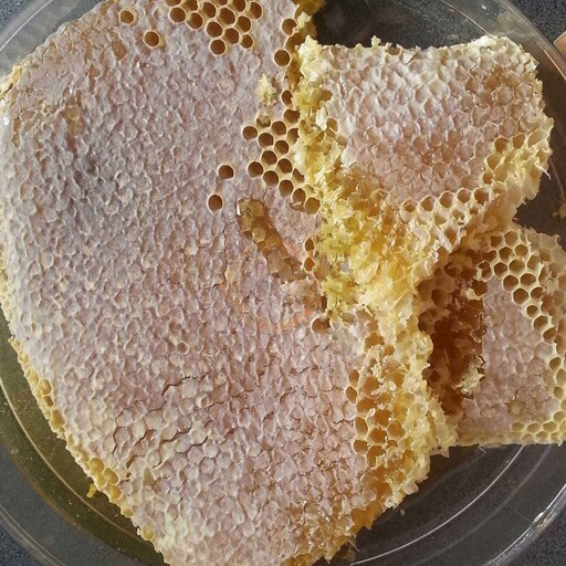 عسل درجه یک طبیعی به شرط .تضمینی . محصول کوه شاهو کردستان  هم به صورت زلال هم موم دار