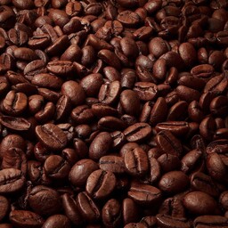 دان قهوه اسپرسو میکس 50-50 نیم کیلویی 