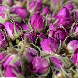 غنچه گل محمدی خوش رنگ و خوش عطر امسالی  در بسته های 100 گرمی