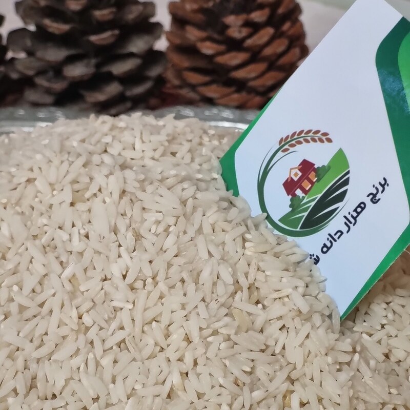 برنج سرلاشه طارم هاشمی فریدونکنار  - 10 کیلوگرم - ارسال رایگان - تضمین مرجوعی بی قید و شرط 