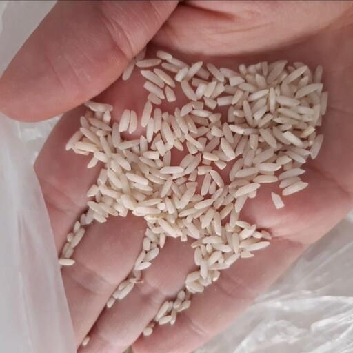 برنج دوباره کشت باپخت عالی