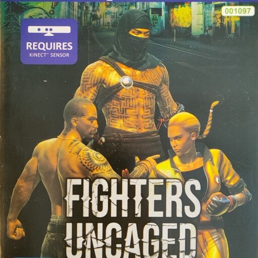 بازی ایکس باکس 360 Kinect Fighters Uncaged