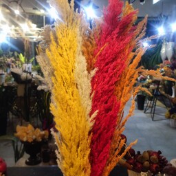 گل خشک دکوراتیو پامپاس بسته 10  عددی در همه رنگ با کیفیت درجه یک مستقیم از تولید کننده قیمت دست اول،هر دسته یک رنگ 