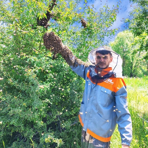 عسل چهل گیاه )1کیلیویی )صددرصد طبیعی ارسال رایگان مستقیم از زنبوردار خریدار کنید