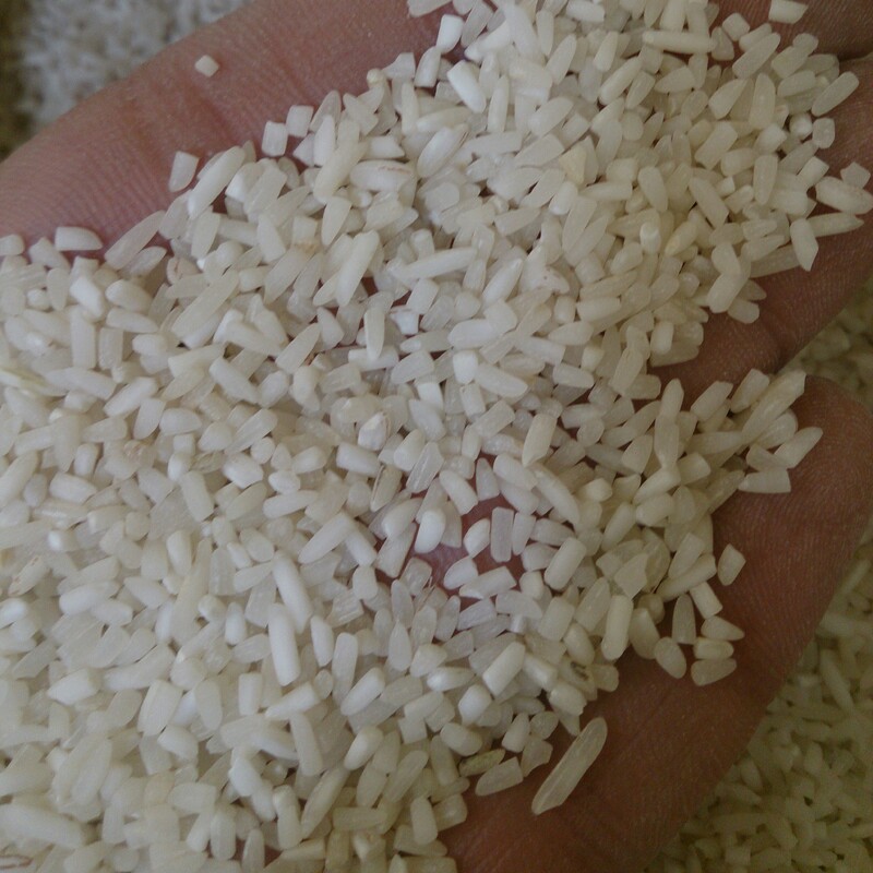 لاشه برنج فجر محلی گیلان 
