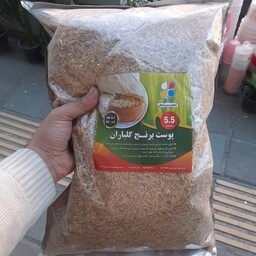 پوست برنج ( 6 لیتری در بسته بندی آلومینیومی )