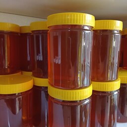 عسل گون کاملا طبیعی با ضمانت نامه کتبی