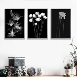 تابلو مدرن گروه تولیدی بکلیت گل شیپوری سیاه و سفید کد 1452