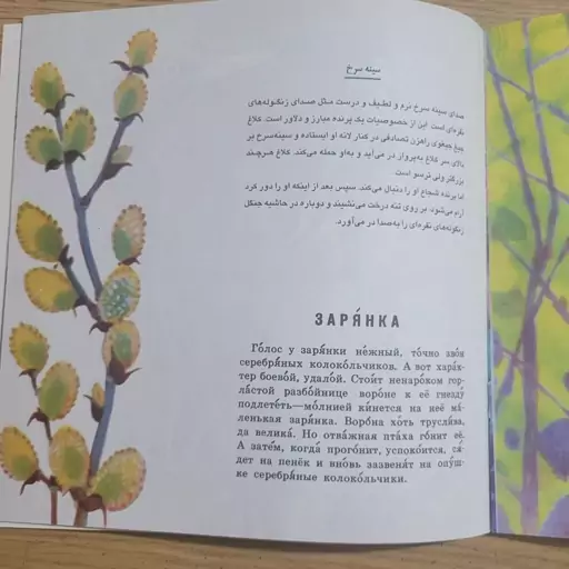 کتاب آواهای جنگل بهاری آوای جنگل بهاری  نوشته الکساندر بارگوف - با متن روسی و فارسی  ترجمه آزموده