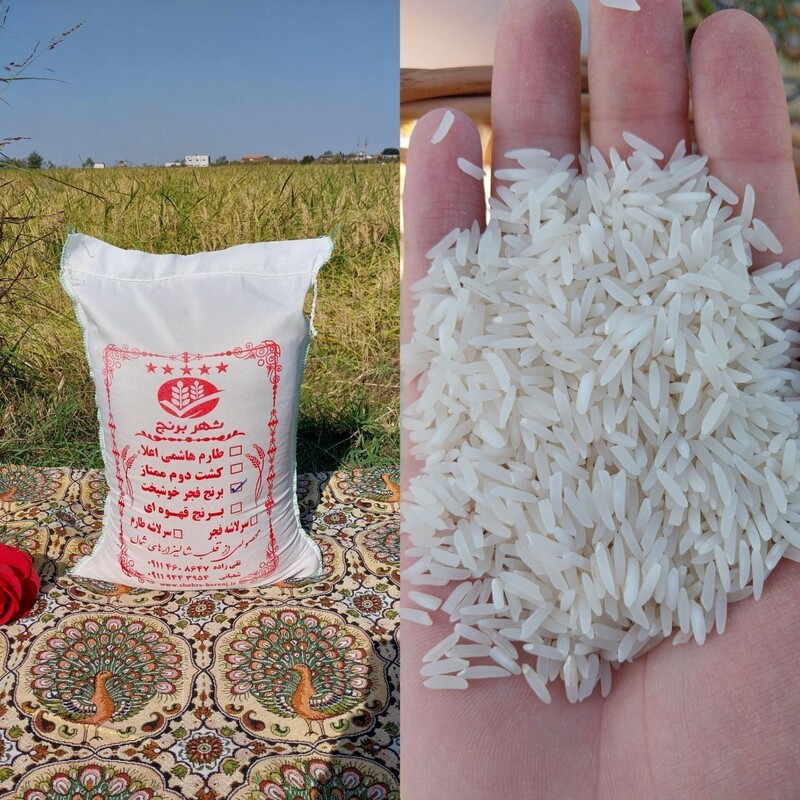 برنج فجر خوشپخت 10 کیلویی ارسال رایگان