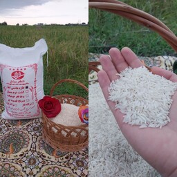 برنج  طارم هاشمی اعلا    10 کیلویی  ارسال رایگان 