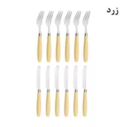 ست کارد و چنگال میوه خوری 12 پارچه مونیکا مدل stainless steel کد 01