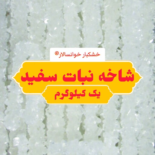 شاخه نبات سفید ( یک کیلوگرم) خشکبار خوانسالار