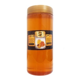 عسل گون (ساکارز 4) - 450 گرم