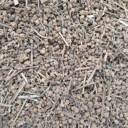بذر چغندر  لبوئی - 1 کیلو 