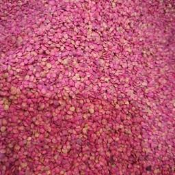 بذر بادمجان کاشتی- 1 کیلو