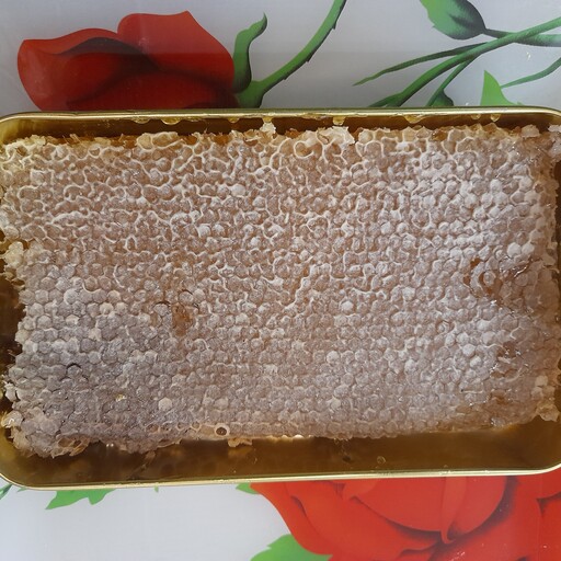 عسل طبیعی سبلان (موم دار) 2 کیلویی