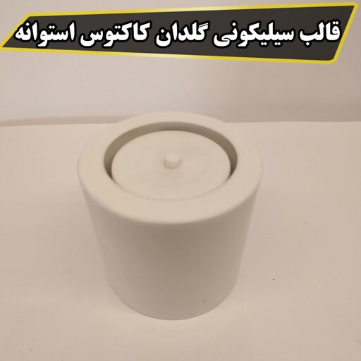 قالب سیلیکونی گلدان کاکتوس استوانه ای